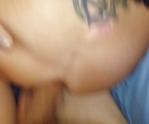 TT devine fundul ei pisate
